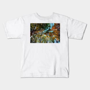 Plenty of beech trees trunks and branches with autumn colored leaves in Canfaito forest Kids T-Shirt